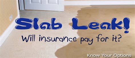 gainesville fl slab leak detection|Gainesville Water Leak Repair and Slab Leak Detection